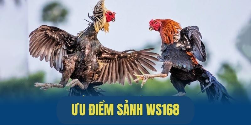 Ưu điểm nổi trội của sảnh WS168