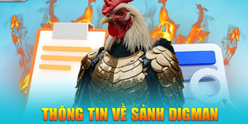 Tìm hiểu thông tin tổng quan về sảnh Digmaan